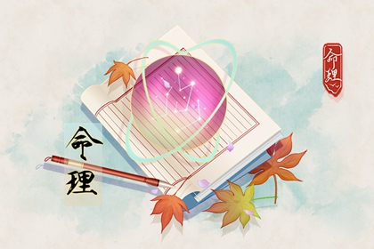 紫星命盘_天机文墨紫微斗数_紫微运势_专业命盘_八字命宫吉凶排盘